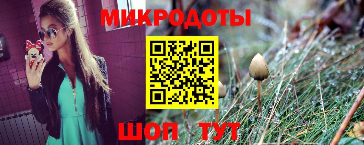 Галлюциногенные грибы Magic Shrooms  Вход с VPN  Галлюциногенные грибы мицелий  Камышлов 