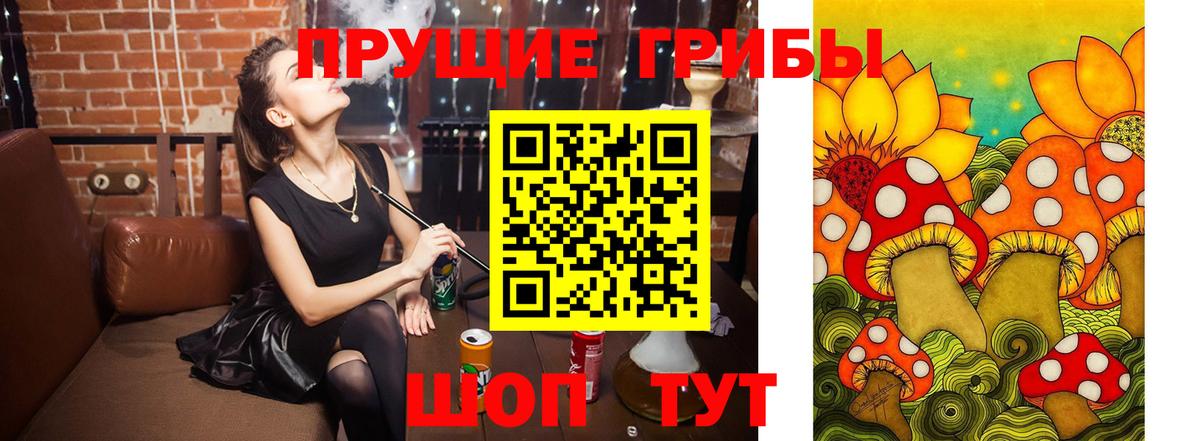 Псилоцибиновые грибы Magic Shrooms Камышлов